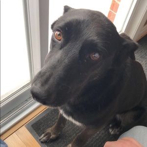 Meet your Posher, Jen